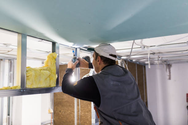 Best Insulation Removal Services  in Atwood, KS