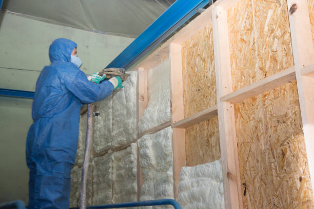 Best Insulation Removal  in Atwood, KS